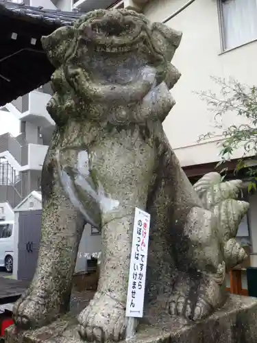 金刀比羅神社の狛犬