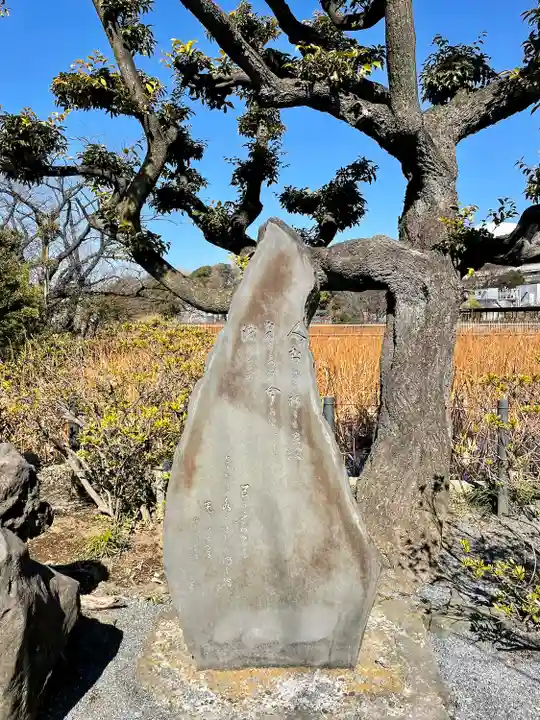 寛永寺不忍池弁天堂(東京都)