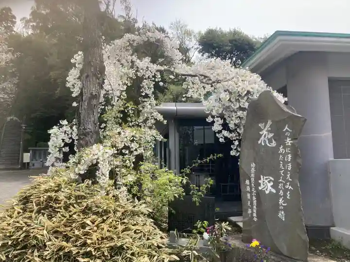 大明寺(神奈川県)