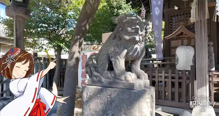白髭神社の狛犬