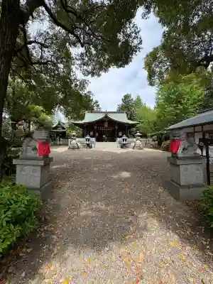 磯良神社（疣水神社）の{uncategorized: "未分類", other: "その他", undefined: "問題あり", building: "その他建物", grave: "お墓", sacred_gate: "鳥居", guardian: "狛犬", statue: "像", buddha: "仏像", history: "歴史", nature: "自然", garden: "庭園", animal: "動物", pagoda: "塔", temizu: "手水舎", mountain_gate: "山門・神門", sanctuary: "本殿・本堂", subordinate: "末社・摂社", art: "芸術", scenery: "景色", jizo: "地蔵", ema: "絵馬", goshuin: "御朱印", omikuji: "おみくじ", items: "授与品その他", amulet: "お守り", goshuincho: "御朱印帳", eats: "食事", festival: "お祭り", votive_dance: "神楽", shichigosan: "七五三参", wedding: "結婚式", experience: "体験その他", initially: "初詣", around: "周辺", anti_infection: "感染症対策"}