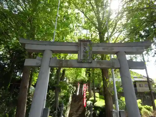 弥生神社の鳥居