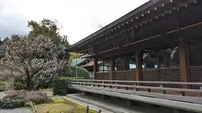 城南宮(京都府)