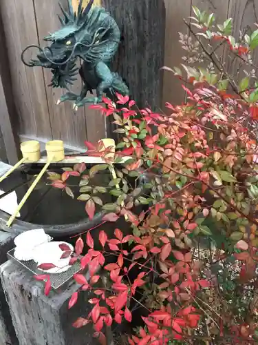 日蓮宗 法泉結社の手水舎