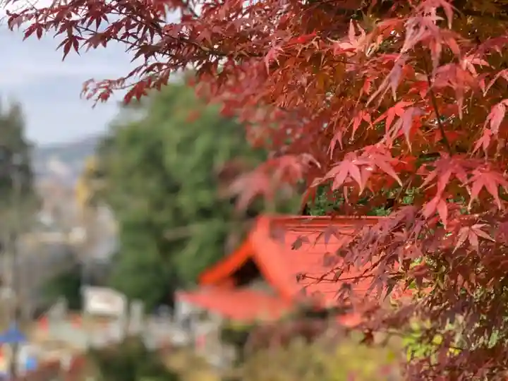 思金神社の自然