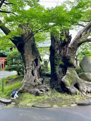 深志神社(長野県)