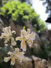 鹿島大神宮の自然