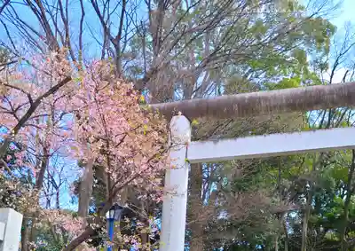 五條天神社の鳥居