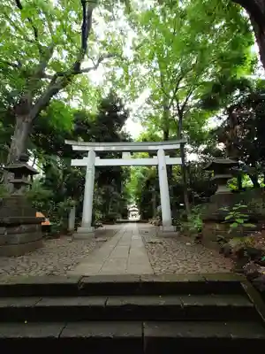 代々木八幡宮の鳥居