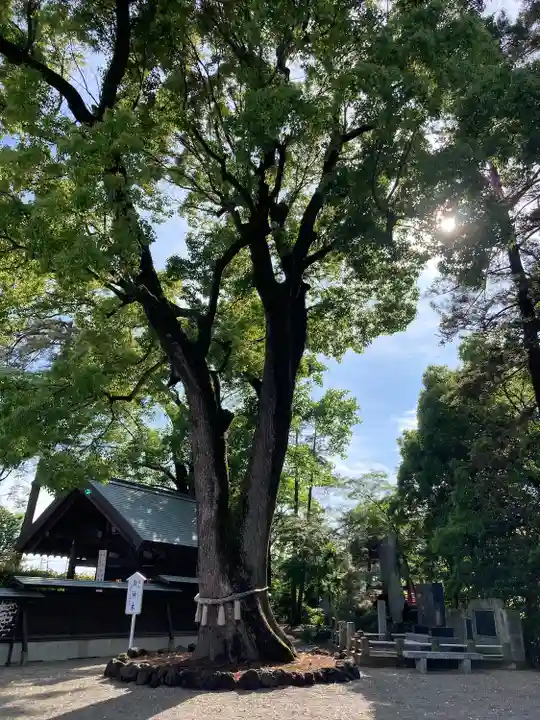 玉村八幡宮(群馬県)