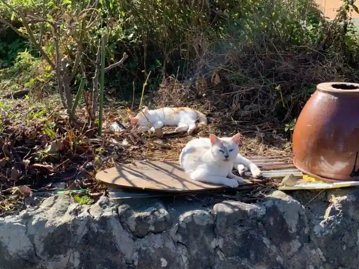 屋敷稲荷の動物