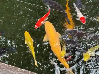 建部大社(滋賀県)