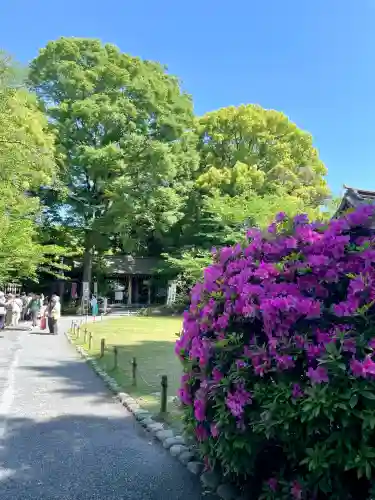 阿佐ヶ谷神明宮(東京都)