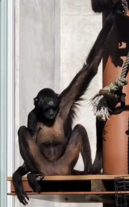 鑁阿寺(栃木県)