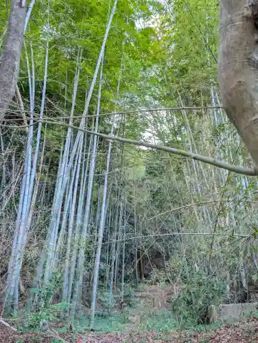 石清水八幡宮の{uncategorized: "未分類", other: "その他", undefined: "問題あり", building: "その他建物", grave: "お墓", sacred_gate: "鳥居", guardian: "狛犬", statue: "像", buddha: "仏像", history: "歴史", nature: "自然", garden: "庭園", animal: "動物", pagoda: "塔", temizu: "手水舎", mountain_gate: "山門・神門", sanctuary: "本殿・本堂", subordinate: "末社・摂社", art: "芸術", scenery: "景色", jizo: "地蔵", ema: "絵馬", goshuin: "御朱印", omikuji: "おみくじ", items: "授与品その他", amulet: "お守り", goshuincho: "御朱印帳", eats: "食事", festival: "お祭り", votive_dance: "神楽", shichigosan: "七五三参", wedding: "結婚式", experience: "体験その他", initially: "初詣", around: "周辺", anti_infection: "感染症対策"}