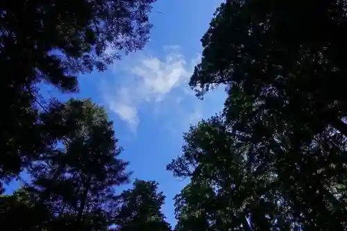 高野山金剛峯寺奥の院の自然