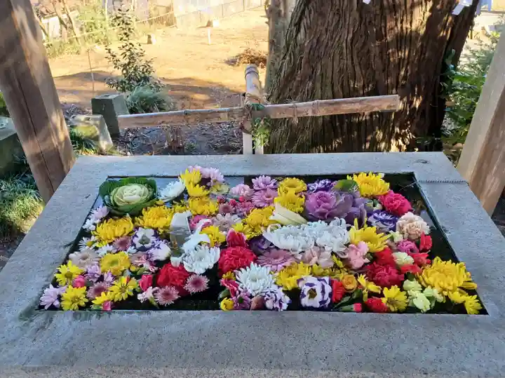 糀谷八幡宮(埼玉県)