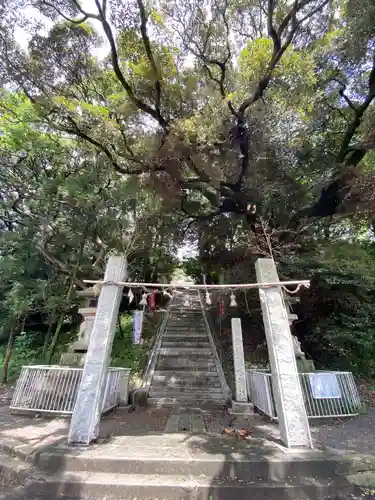 浅木神社の鳥居