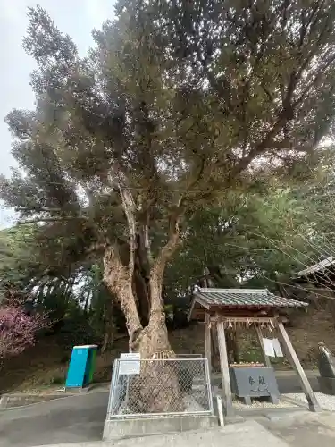 荻浦神社の{uncategorized: "未分類", other: "その他", undefined: "問題あり", building: "その他建物", grave: "お墓", sacred_gate: "鳥居", guardian: "狛犬", statue: "像", buddha: "仏像", history: "歴史", nature: "自然", garden: "庭園", animal: "動物", pagoda: "塔", temizu: "手水舎", mountain_gate: "山門・神門", sanctuary: "本殿・本堂", subordinate: "末社・摂社", art: "芸術", scenery: "景色", jizo: "地蔵", ema: "絵馬", goshuin: "御朱印", omikuji: "おみくじ", items: "授与品その他", amulet: "お守り", goshuincho: "御朱印帳", eats: "食事", festival: "お祭り", votive_dance: "神楽", shichigosan: "七五三参", wedding: "結婚式", experience: "体験その他", initially: "初詣", around: "周辺", anti_infection: "感染症対策"}