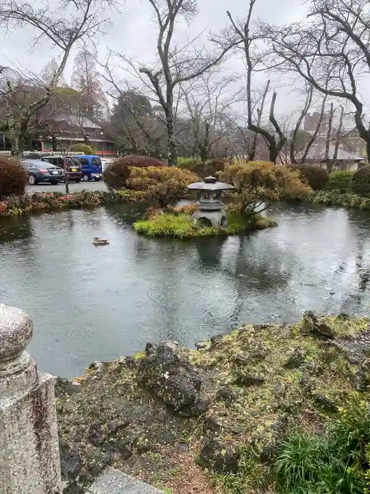 富士山本宮浅間大社(静岡県)