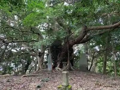 浅間神社の自然