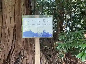 白髭神社のその他建物