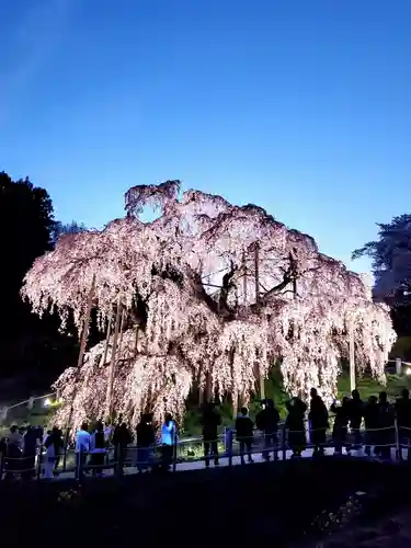 瀧桜神明宮(福島県)