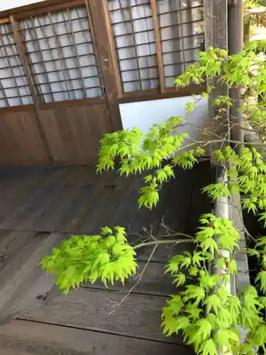 大覚寺のその他建物