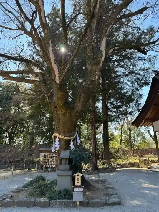 武田神社(山梨県)