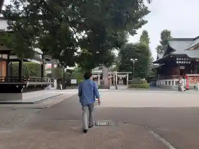 中野沼袋氷川神社(東京都)