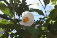 慈眼院(滋賀県)