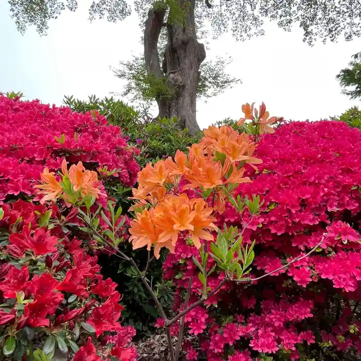 根津神社(東京都)