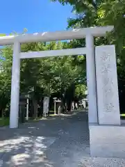 新琴似神社の鳥居