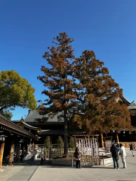 寒川神社の{uncategorized: "未分類", other: "その他", undefined: "問題あり", building: "その他建物", grave: "お墓", sacred_gate: "鳥居", guardian: "狛犬", statue: "像", buddha: "仏像", history: "歴史", nature: "自然", garden: "庭園", animal: "動物", pagoda: "塔", temizu: "手水舎", mountain_gate: "山門・神門", sanctuary: "本殿・本堂", subordinate: "末社・摂社", art: "芸術", scenery: "景色", jizo: "地蔵", ema: "絵馬", goshuin: "御朱印", omikuji: "おみくじ", items: "授与品その他", amulet: "お守り", goshuincho: "御朱印帳", eats: "食事", festival: "お祭り", votive_dance: "神楽", shichigosan: "七五三参", wedding: "結婚式", experience: "体験その他", initially: "初詣", around: "周辺", anti_infection: "感染症対策"}