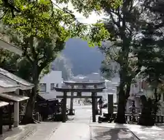 美保神社の鳥居