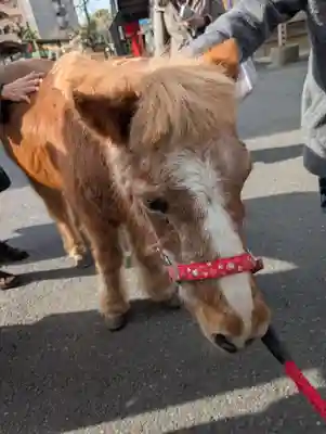 五方山熊野神社(東京都)