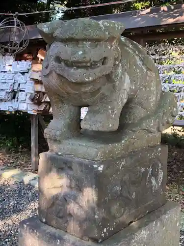 菊田神社の狛犬