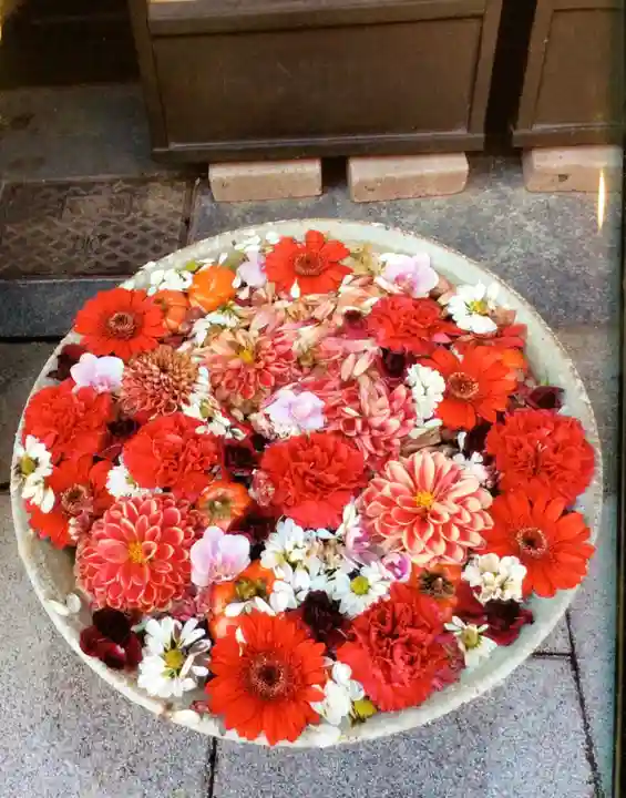 成田山深川不動堂(新勝寺東京別院)(東京都)