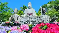 南法華寺（壷阪寺）(奈良県)