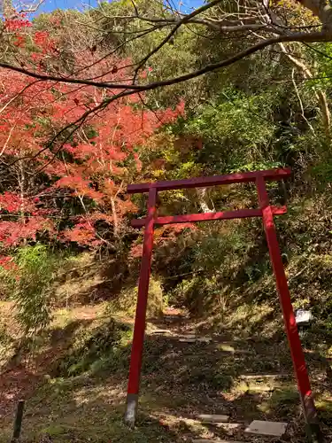 小松寺の鳥居