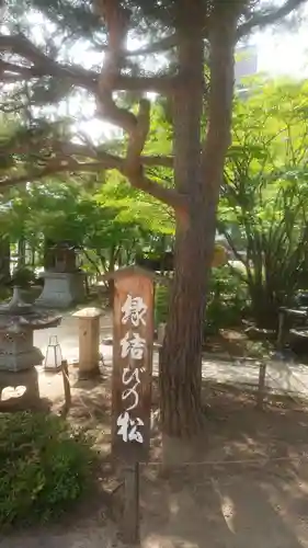四柱神社(長野県)