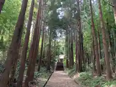 松尾神社の建物その他