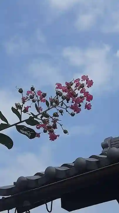 西方山極楽寺(岐阜県)