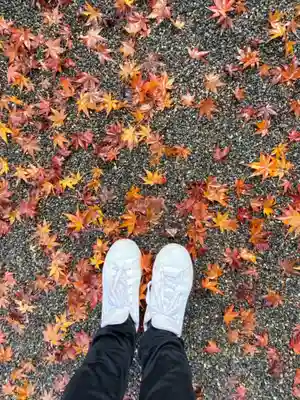 冠稲荷神社(群馬県)