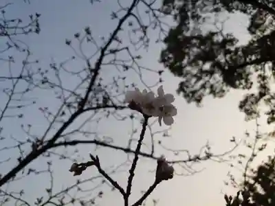 宗像大社(福岡県)