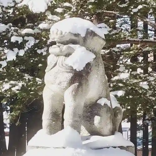 網走神社の狛犬