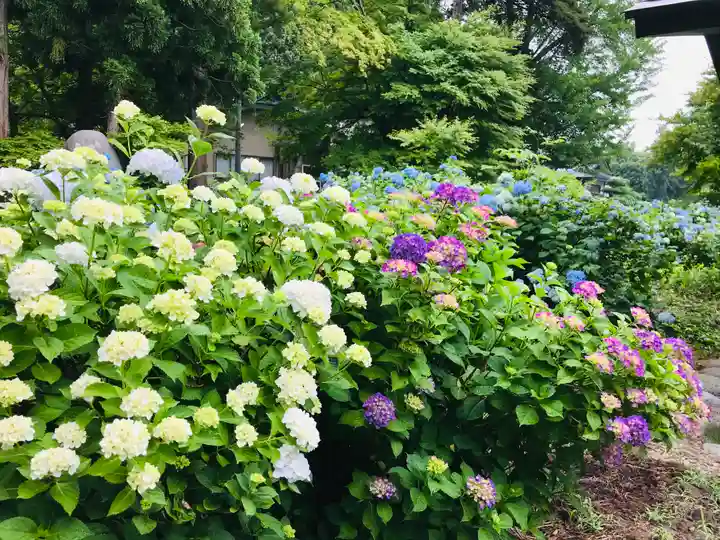 幸徳院笹野寺(山形県)