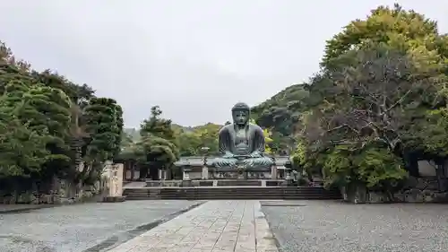 高徳院の仏像