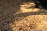 三春大神宮の自然