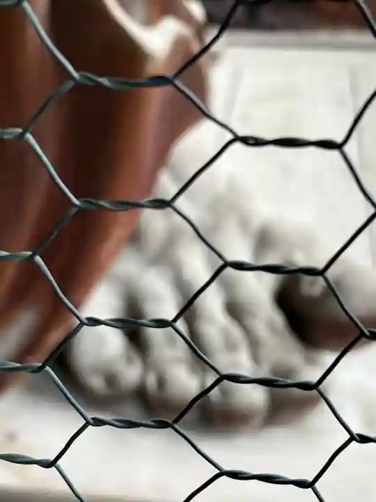 白蓮坊のその他建物